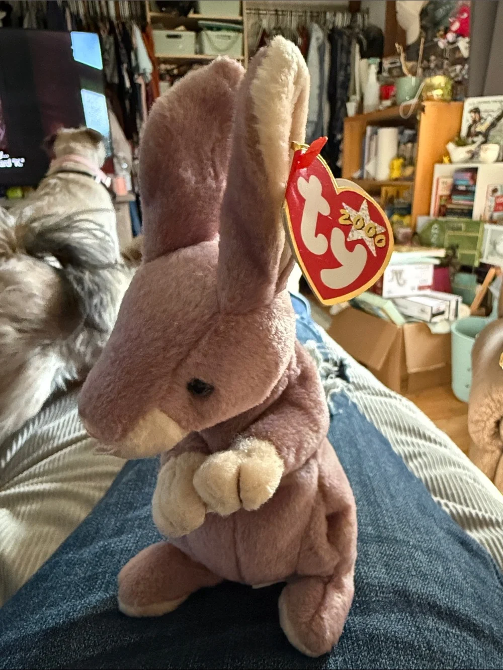 Ty Pink and Cream Bunny Beanie Plush with Tag